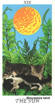 Cat's House Tarot by Hiroko Miyamoto
